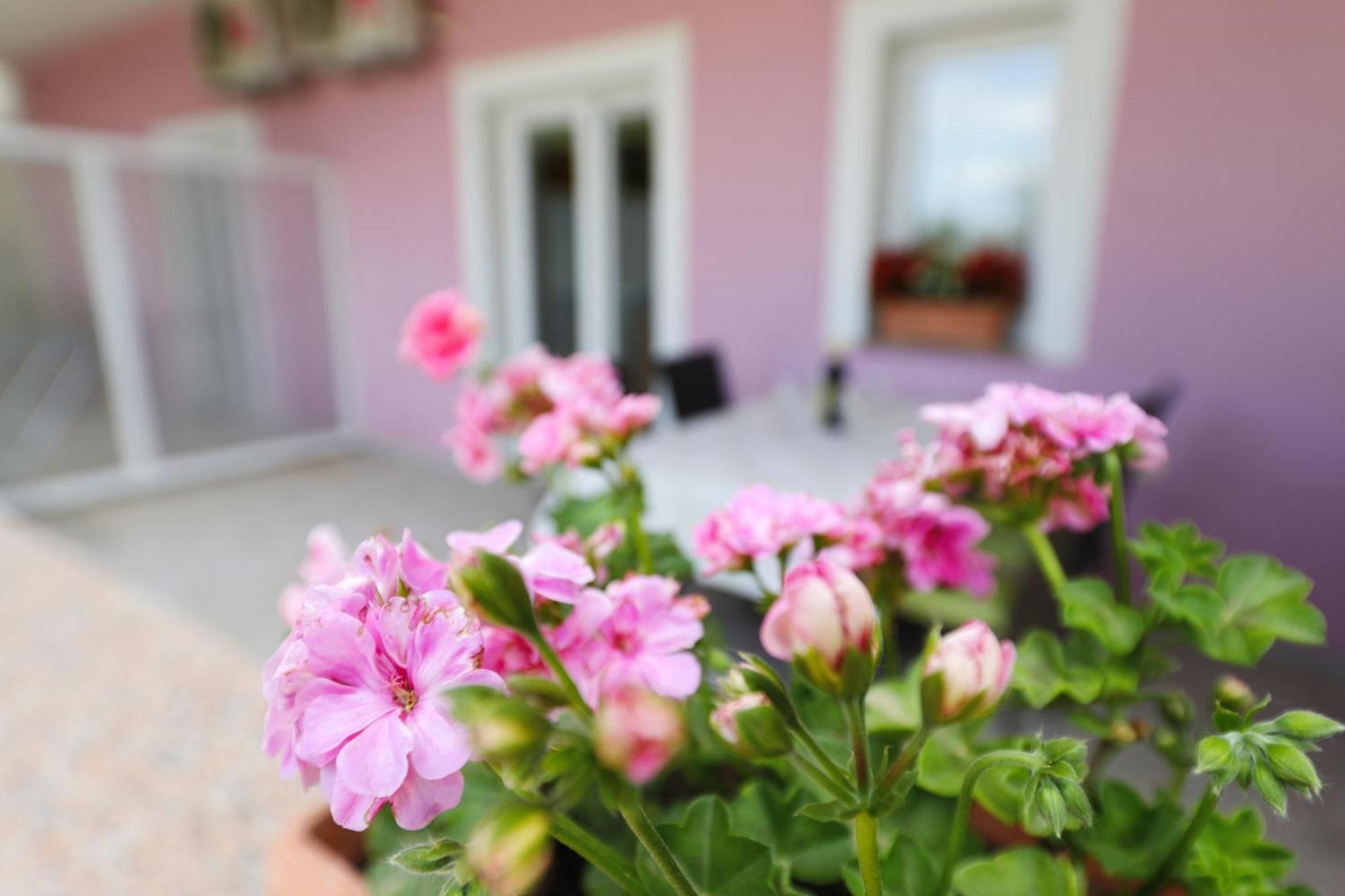 Villa Rajna Стариград-Пакленица Стая снимка