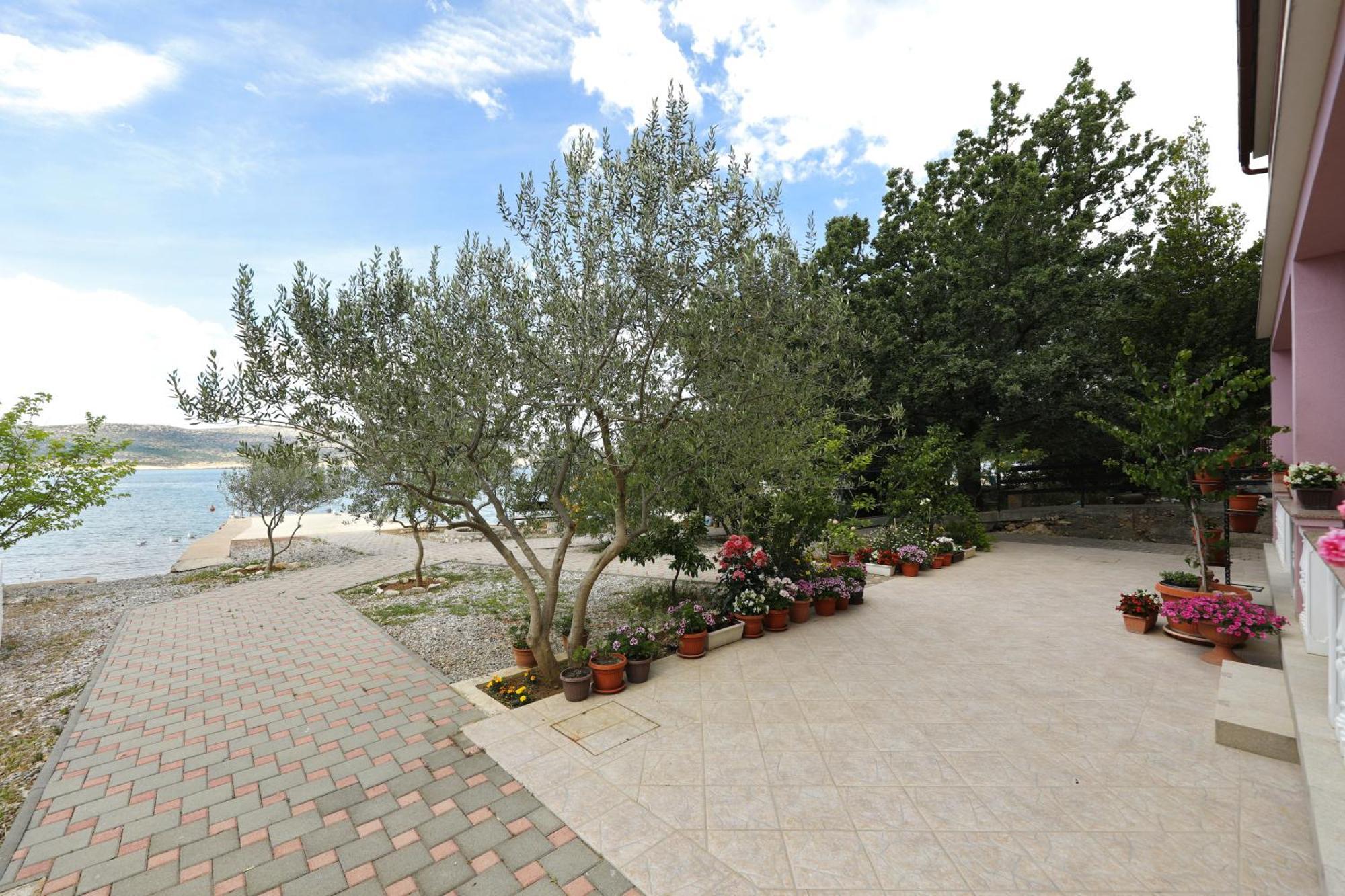 Villa Rajna Стариград-Пакленица Стая снимка
